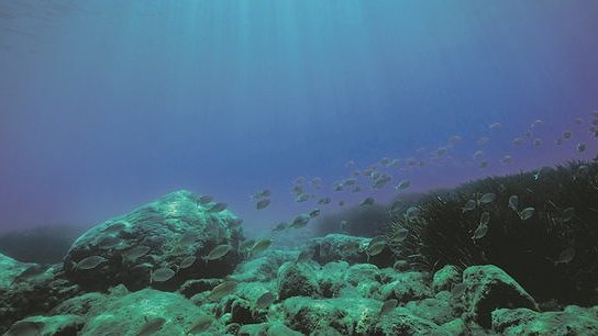 Illustration - Pacifique : une alerte qui tombe à l’eau