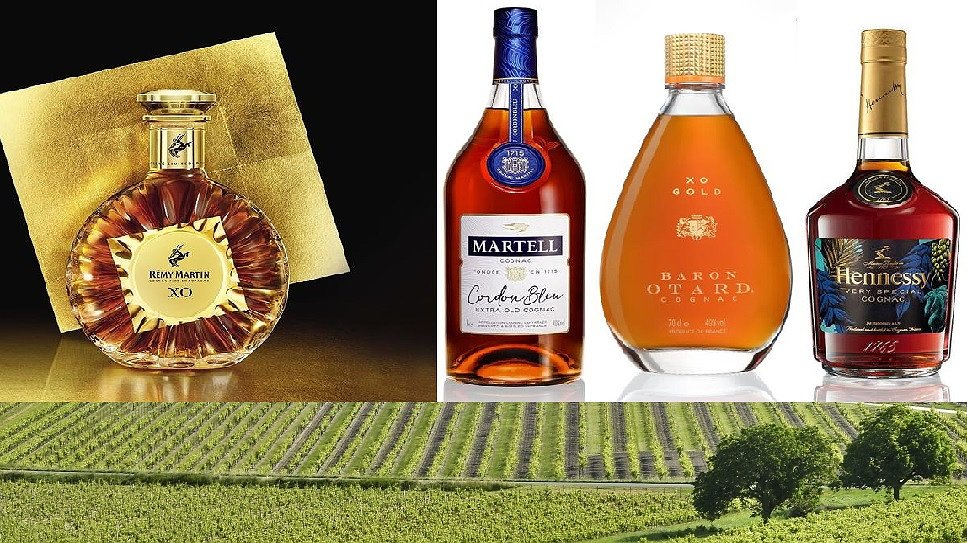 Illustration - Cognac contre véhicules électriques : dans cette guerre commerciale, les travailleurs doivent se défendre eux-mêmes