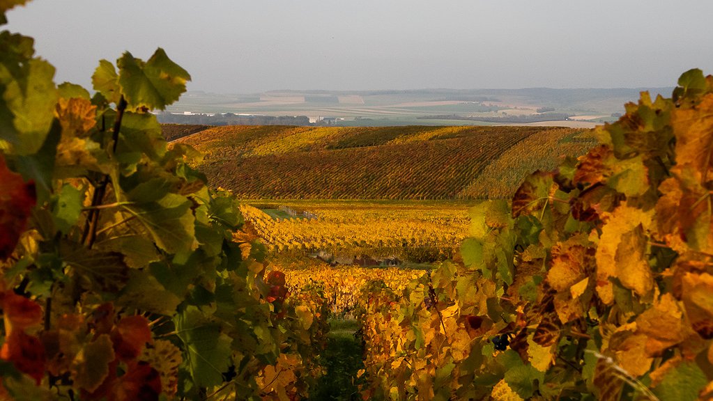 Illustration - Les bulles de l’exploitation