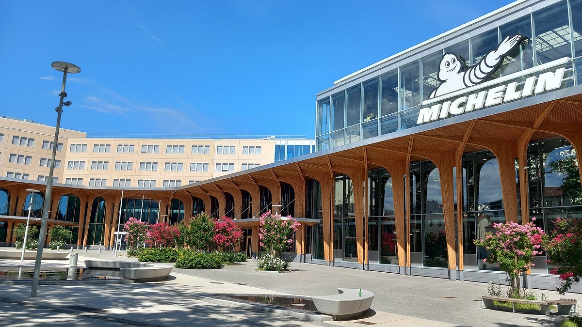 Illustration - L'arbuste qui cache la forêt