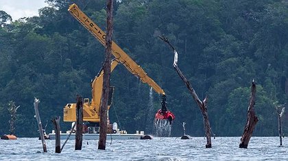 Illustration l'entreprise Triton peu regardante avec la biodiversité