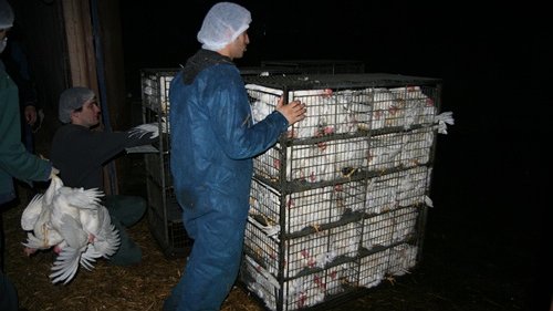 Illustration - Des esclavagistes condamnés