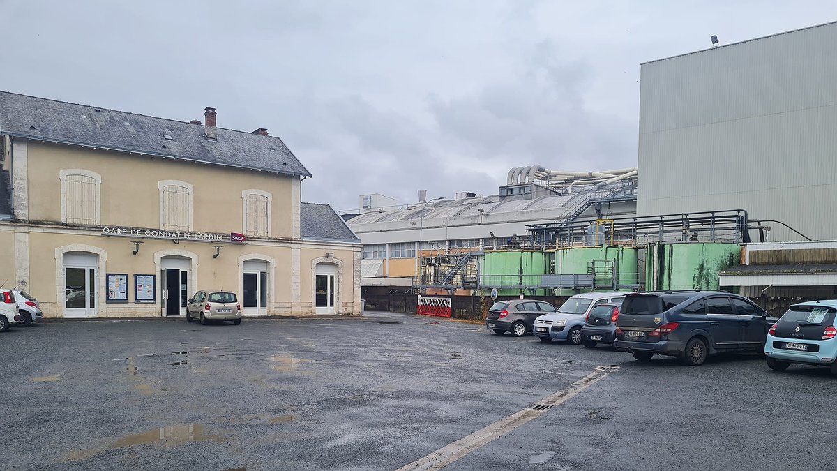 Illustration - pillage en bande organisée