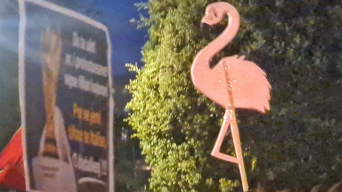 Illustration - flamants roses contre Trump