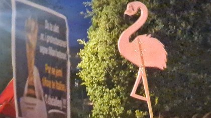Illustration flamants roses contre Trump