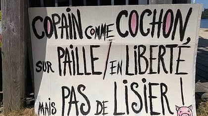Illustration Mobilisation contre la porcherie industrielle de Royère de Vassivière