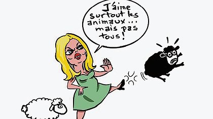 Illustration article