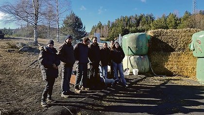 Illustration article