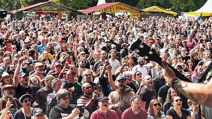 Illustration article