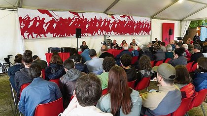 Illustration article